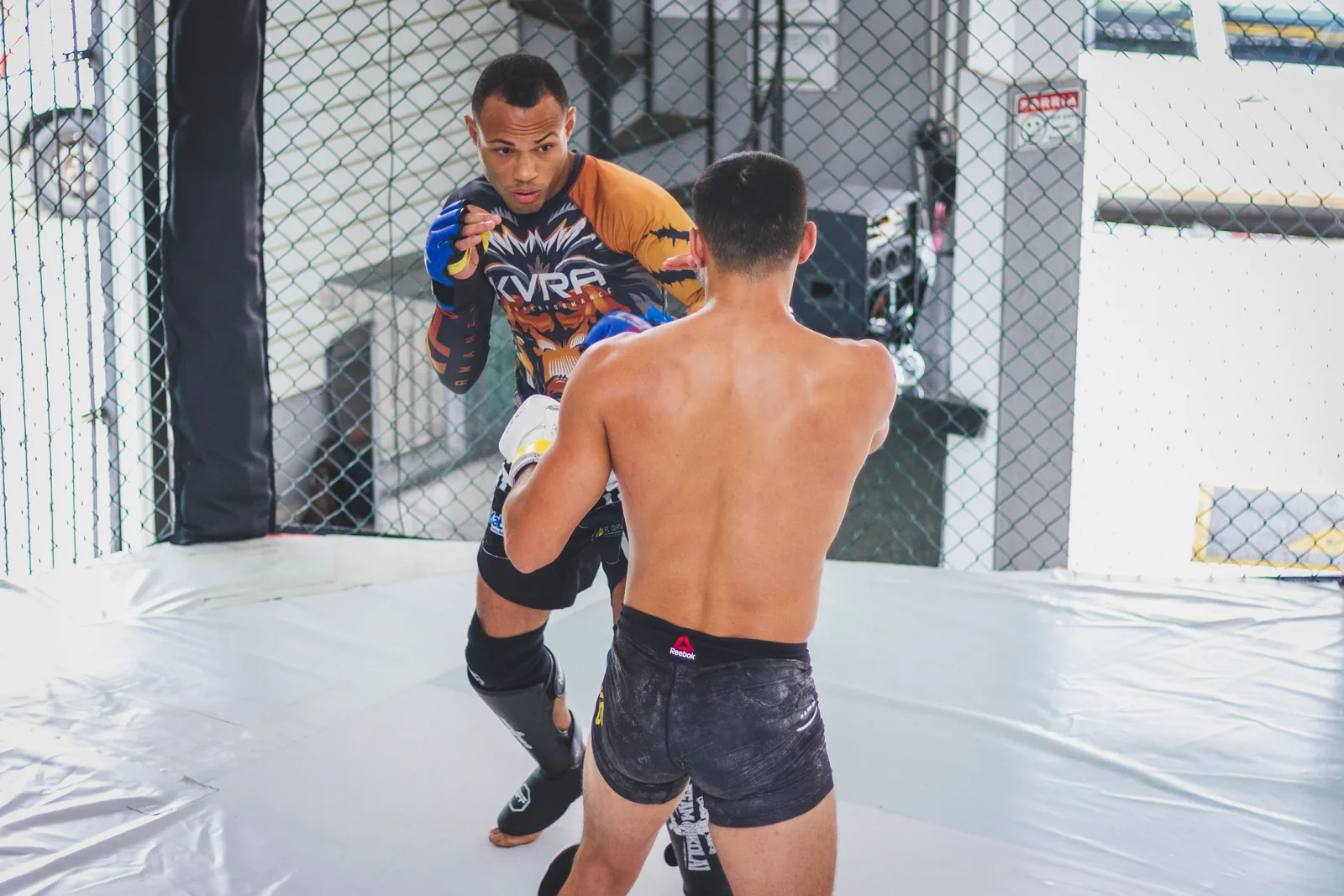 Entraînement de MMA